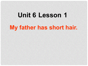 四年級英語上冊 Unit 6 Lesson 1 My father has short hair課件 魯科版