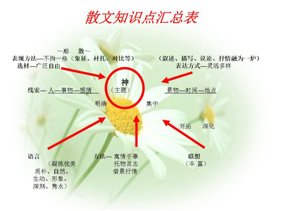 散文知识点归纳.ppt_第1页