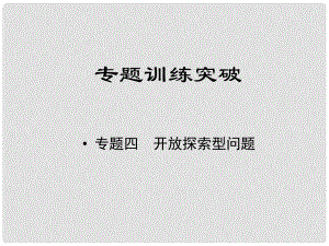 江西省中考數(shù)學專題復習 專題四 開放探索型問題課件