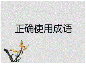 福建省莆田市高三語文 正確使用成語課件