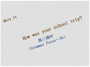 七年級英語下冊 Unit 11 How was your school trip（第3課時）Grammar Focus3c習(xí)題課件 （新版）人教新目標(biāo)版