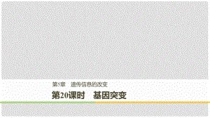 高中生物 第5章 遺傳信息的改變 第20課時 基因突變課件 北師大版必修2