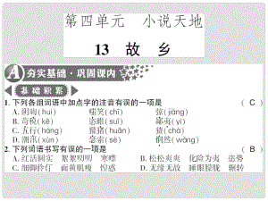 廣西桂林市九年級語文下冊 第四單元 13 故鄉(xiāng)習(xí)題課件 語文版