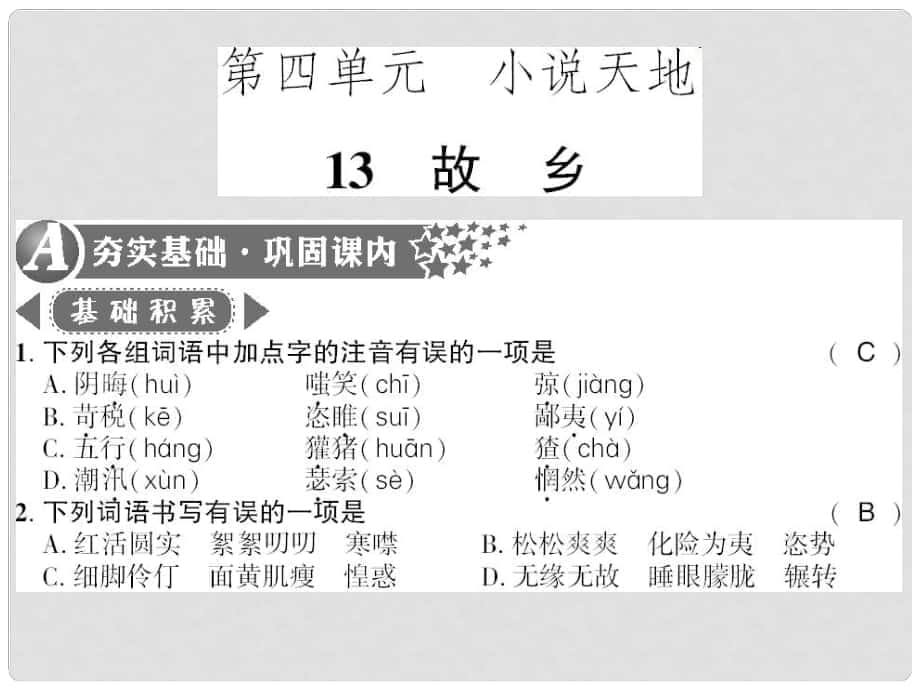 廣西桂林市九年級(jí)語(yǔ)文下冊(cè) 第四單元 13 故鄉(xiāng)習(xí)題課件 語(yǔ)文版_第1頁(yè)