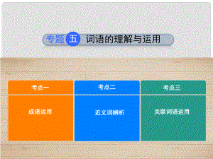河北省中考語文 專題5 詞語的理解與運(yùn)用復(fù)習(xí)課件