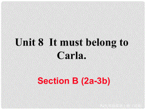 九年級英語全冊 Unit 8 It must belong to Carla Section B（2a3b）習(xí)題課件 （新版）人教新目標(biāo)版