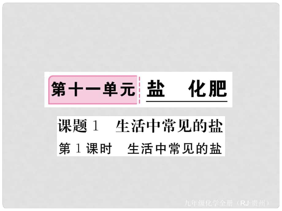 九年级化学下册 第十一单元 课题1 第1课时 生活中常见的盐复习课件 （新版）新人教版_第1页