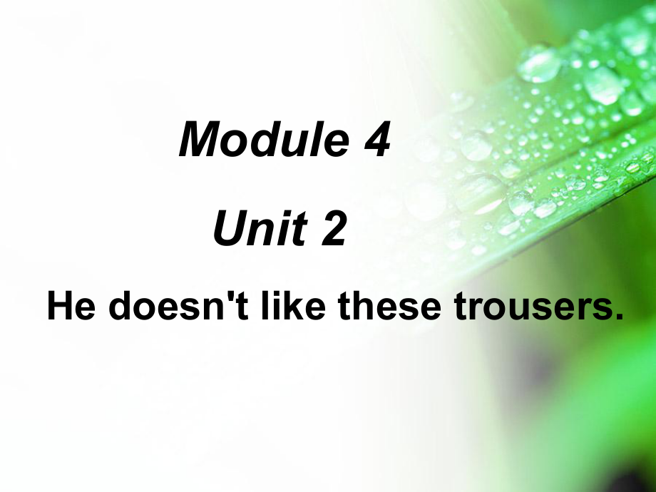 二年級英語上冊 Module 4 Unit 2 He doesn’t like these trousers課件4 外研版（一起）_第1頁