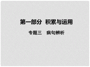 湖南省益陽市中考語文 第一部分 積累與運用 專題三 病句辨析課件 北師大版