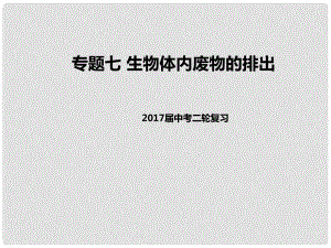 中考生物二輪復(fù)習(xí) 專題突破七 生物體內(nèi)廢物的排出教學(xué)課件