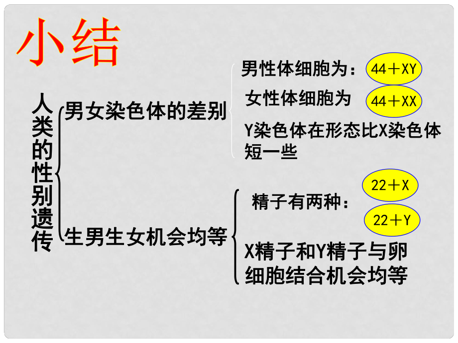 八年級生物上冊 第四單元 第四章 第三節(jié) 人類染色體與性別決定 人類染色體與性別決定（課堂小結）課件 （新版）濟南版_第1頁