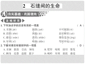 廣西桂林市九年級(jí)語(yǔ)文下冊(cè) 第一單元 2 石縫間的生命習(xí)題課件 語(yǔ)文版