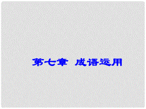 廣東省深圳市中考語文總復(fù)習(xí) 第七章 成語運(yùn)用 語法知識(shí)課件