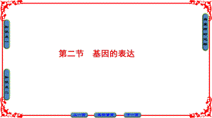 高中生物 第3單元 遺傳與變異的分子基礎(chǔ) 第2章 基因?qū)π誀畹目刂?第2節(jié) 基因的表達(dá)課件 中圖版必修2