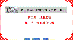 高中生物 第一單元 生物技術(shù)與生物工程 第二章 細胞工程 第3節(jié) 細胞融合技術(shù)課件 中圖版選修3