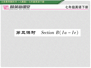 七年級英語下冊 Unit 12 What did you do last weekend（第3課時）Section B（1a1e）習(xí)題課件 （新版）人教新目標(biāo)版