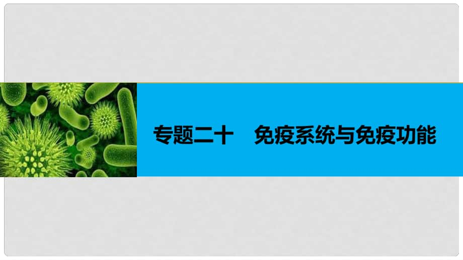 高考生物二輪復(fù)習(xí) 專題二十 免疫系統(tǒng)與免疫功能課件_第1頁(yè)