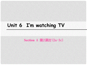 七年級英語下冊 Unit 6 I’m watching TV（第2課時(shí)）Section A（2a3c）課件 （新版）人教新目標(biāo)版