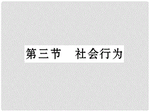 八年級生物上冊 第五單元 第2章 第三節(jié) 社會行為課件 （新版）新人教版