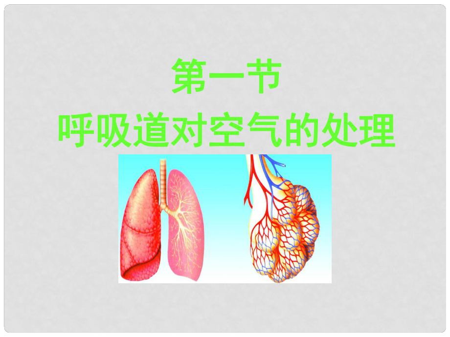 廣東省汕尾市七年級生物下冊 4.3.1 呼吸道對空氣的處理課件 （新版）新人教版_第1頁