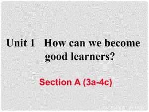 九年級(jí)英語全冊(cè) Unit 1 How can we become good learners Section A（3a4c）作業(yè)課件 （新版）人教新目標(biāo)版