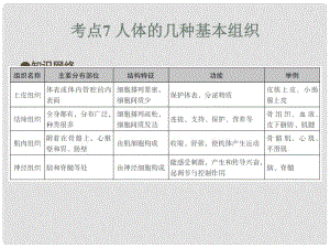 中考易（廣東專版）中考生物 第2單元 考點7 人體的幾種基本組織課件 新人教版