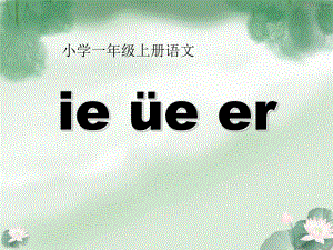 一年級(jí)語(yǔ)文上冊(cè) 漢語(yǔ)拼音11 ie üe er課件2 新人教版