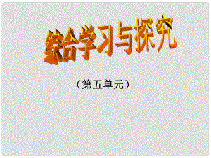 安徽省蚌埠市九年級(jí)語文上冊(cè) 第五單元 綜合學(xué)習(xí)與探究課件 蘇教版