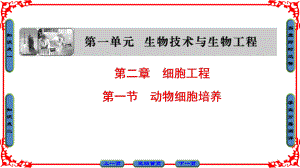 高中生物 第一單元 生物技術(shù)與生物工程 第二章 細胞工程 第1節(jié) 動物細胞培養(yǎng)課件 中圖版選修3