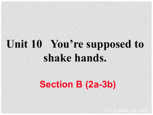 九年級(jí)英語(yǔ)全冊(cè) Unit 10 You’re supposed to shake hands Section B（2a3b）作業(yè)課件 （新版）人教新目標(biāo)版