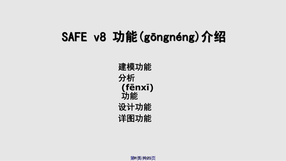SAFEV中文使用说明实用教案_第1页