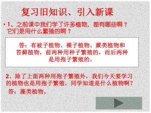 七年級生物下冊 第五單元 第10章 水中的生物 第2節(jié) 水中的藻類植物授課課件 （新版）蘇科版