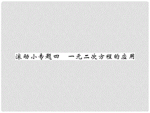 九年級(jí)數(shù)學(xué)上冊(cè) 滾動(dòng)小專題四 一元二次方程的應(yīng)用課件 （新版）北師大版