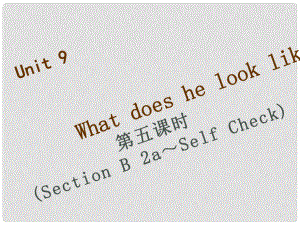 七年級英語下冊 Unit 9 What does he look like（第5課時）Section B（2aSelf Check）習(xí)題課件 （新版）人教新目標(biāo)版