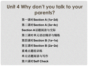 八年級英語下冊 隨堂特訓 Unit 4 Why don’t you talk to your parents課件 （新版）人教新目標版