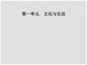 高中政治 第一單元 文化與生活 第一課 文化與社會 第一框 體味文化課件 新人教版必修3