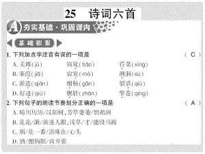 廣西桂林市九年級(jí)語文下冊(cè) 第六單元 25 詩詞六首習(xí)題課件 語文版