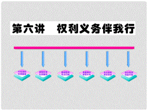 九年級(jí)政治 第6講 權(quán)利義務(wù)伴我行課件 人教新課標(biāo)版