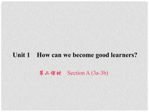 原九年級(jí)英語(yǔ)全冊(cè) Unit 1 How can we become good learners（第2課時(shí)）Section A（3a3b）習(xí)題課件 （新版）人教新目標(biāo)版