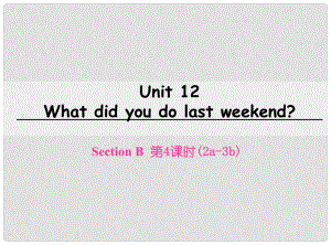 七年級英語下冊 Unit 12 What did you do last weekend（第4課時）Section B（2a3b）課件 （新版）人教新目標版