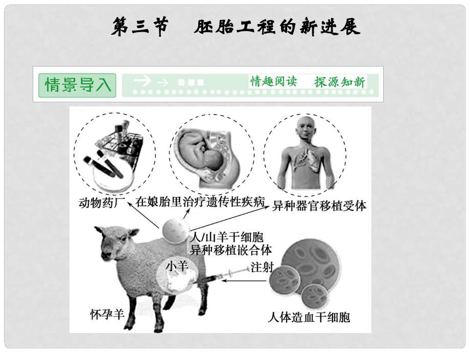 高中生物 第一單元 生物技術與生物工程 第三章 胚胎工程 1.3.3 胚胎工程的新進展課件 中圖版選修3_第1頁