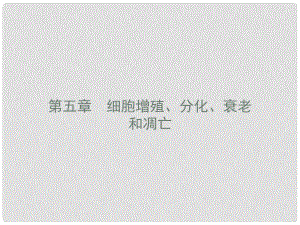高中生物 第五章 細胞增殖、分化、衰老和凋亡 5.1 細胞增殖課件 蘇教版必修1