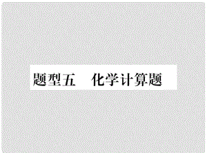 中考化學(xué) 第二部分 重點題型突破 專題五 化學(xué)計算題課件 新人教版