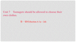 九年級(jí)英語(yǔ)全冊(cè) Unit 7 Teenagers should be allowed to choose their own clothes（第1課時(shí)）Section A（1a2d）習(xí)題課件 （新版）人教新目標(biāo)版