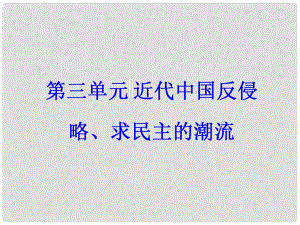 高考歷史一輪總復習 第三單元 近代中國反侵略、求民主的潮流 第6講 太平天國運動與辛亥革命課件