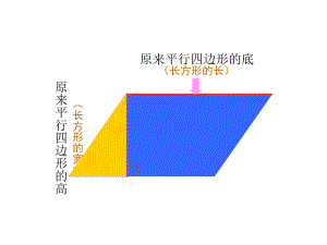 新課標(biāo)人教版數(shù)學(xué)五年級(jí)上冊(cè)《三角形面積計(jì)算》課件(2)