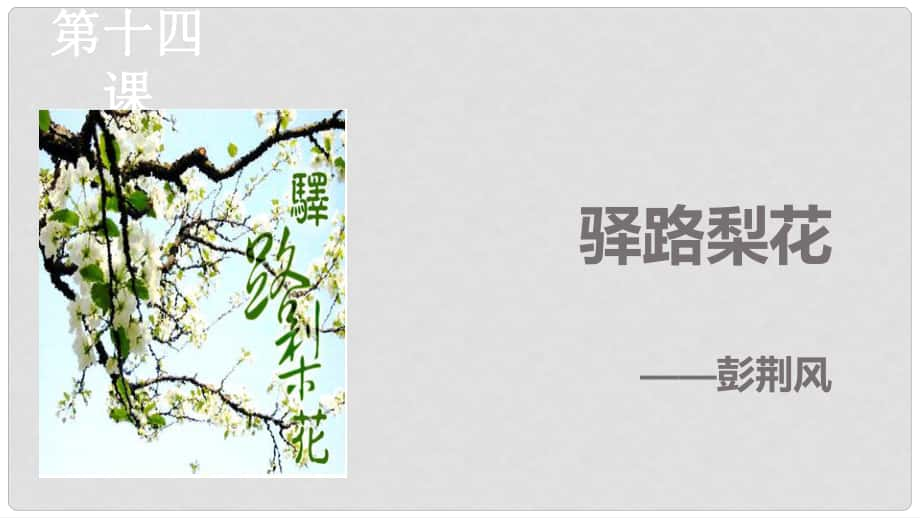 七年級(jí)語文下冊 第14課 驛路梨花課件 新人教版_第1頁