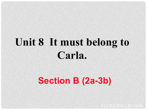 九年級英語全冊 Unit 8 It must belong to Carla Section B（2a3b）作業(yè)課件 （新版）人教新目標(biāo)版