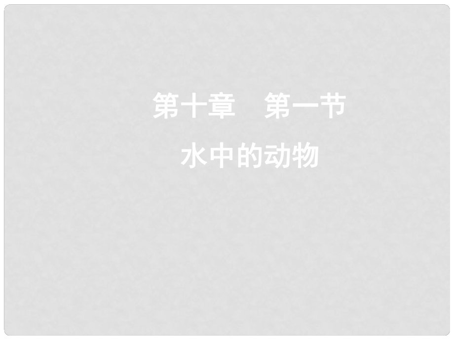 陜西省安康市七年級生物下冊 第五單元 第10章 水中的生物 第1節(jié) 水中的動物課件 （新版）蘇科版_第1頁