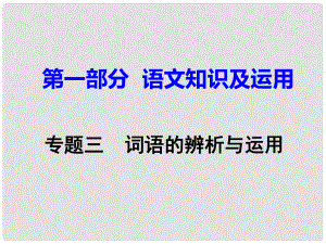 重慶市中考語文試題研究 第一部分 語文知識及運用 專題三 詞語的辨析與運用課件